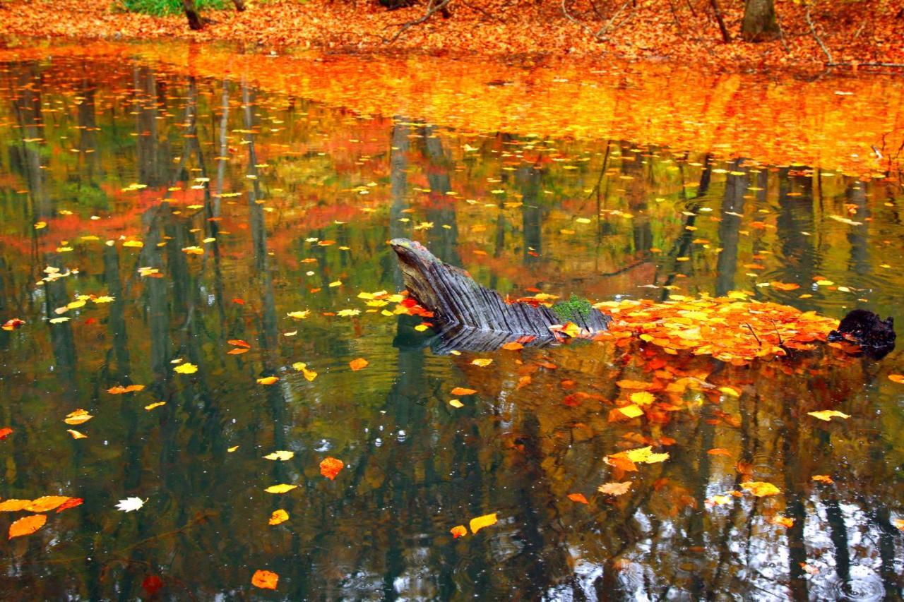 Tsuta Onsen Ryokan Towada Dış mekan fotoğraf